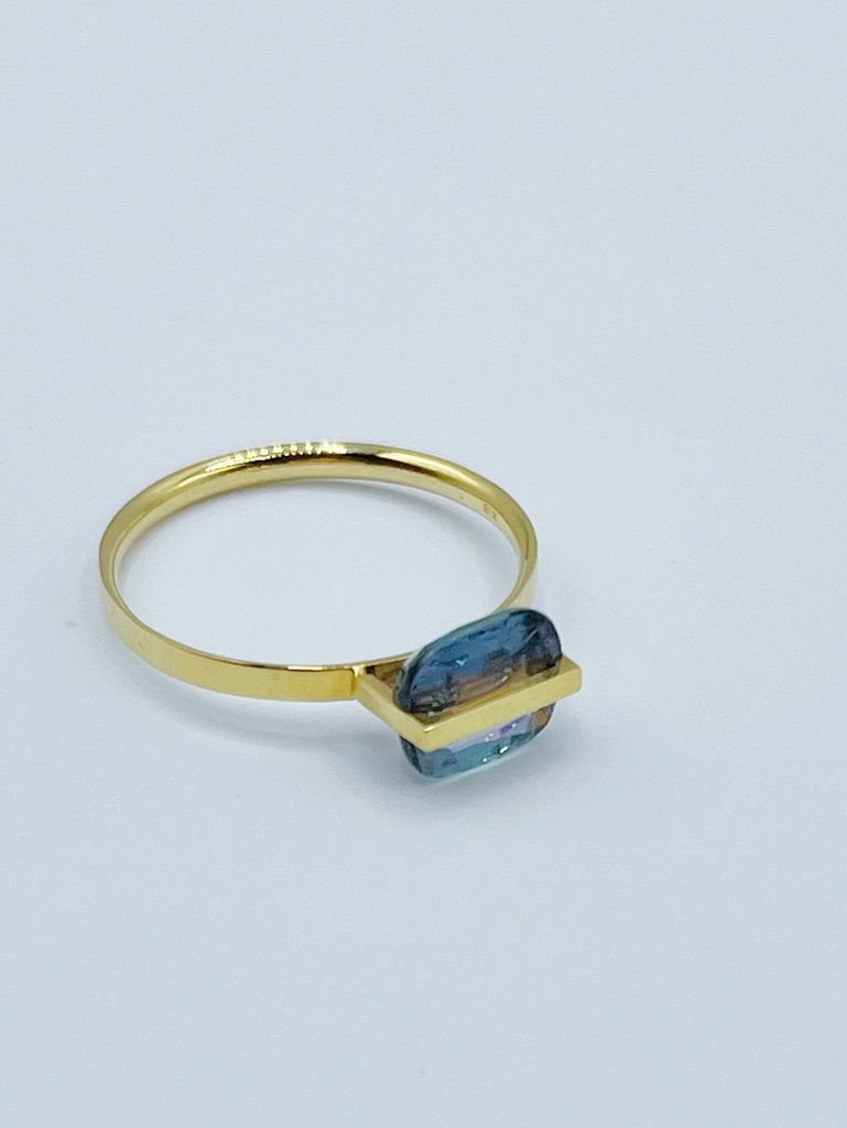 RING Januka