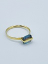 RING Januka