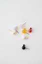 EARRINGS Mussels & Muscels O19.7 Coral