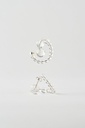 EARRINGS Mussels & Muscels O19.8