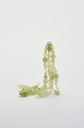 EARRINGS Mussels & Muscels O19.12