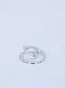 O1.142 silver(2).webp