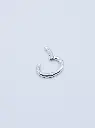 C1.1 silver(1).webp