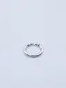 C1.1 silver.webp
