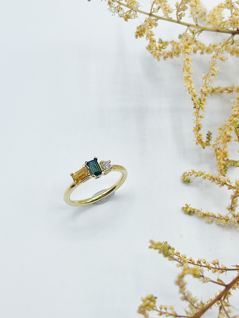 RING LASSO R1