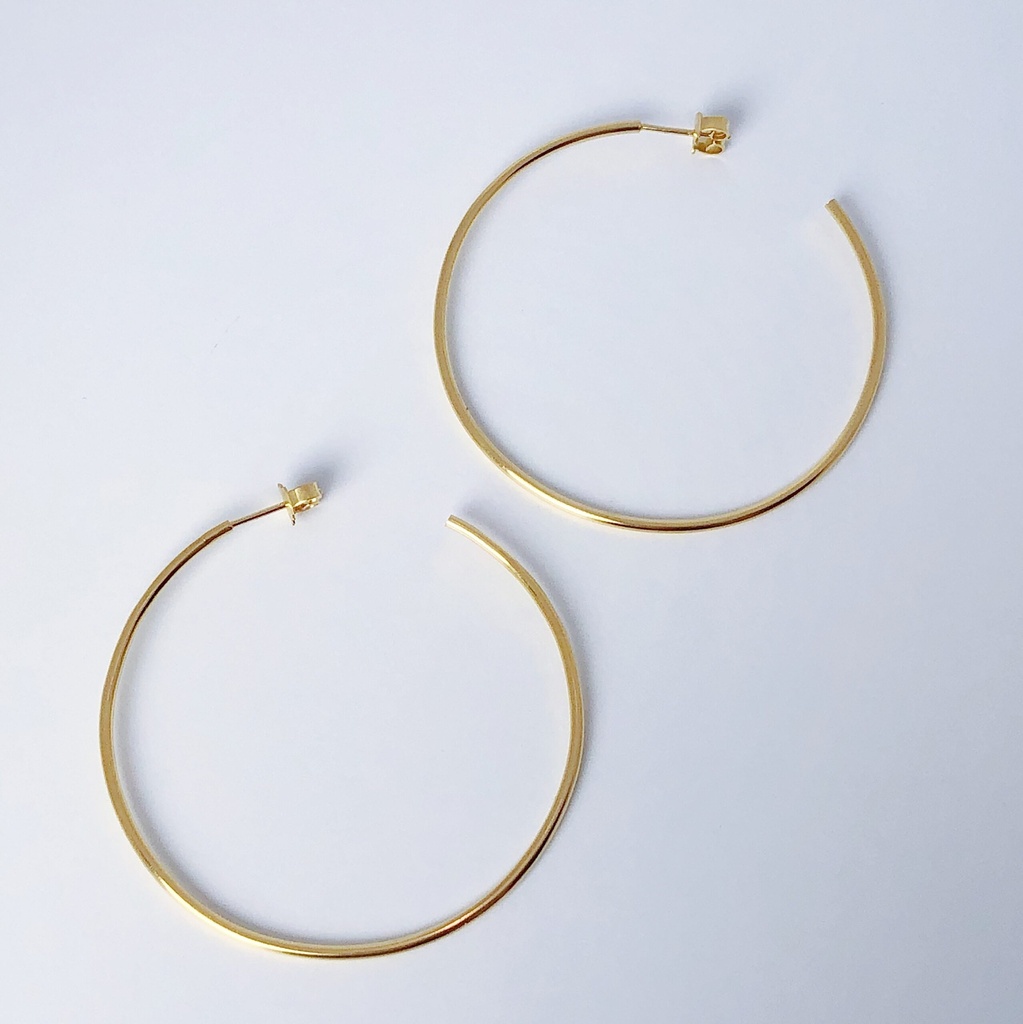 Earrings LASSO