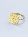 RING Liesbeth Gemels R16.1