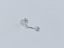 EARSTUD Saskia Diez O51.50