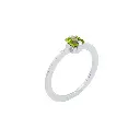 RING Studio Collect R65.47