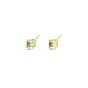 EARRINGS Studio Collect 065.100