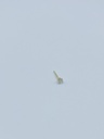 EARSTUD LASSO Briljant 