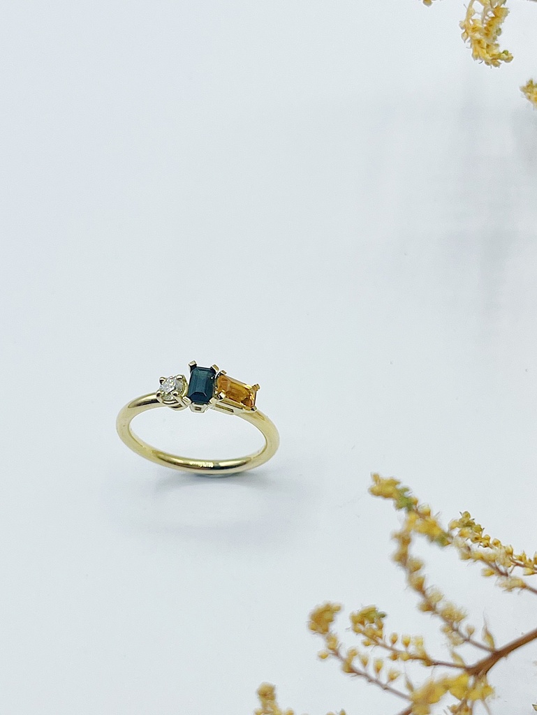 RING LASSO R1