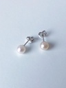 EARRINGS LASSO O1 parel