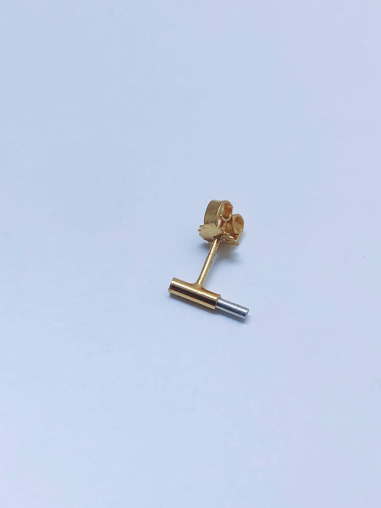 EARRING LASSO Swing O1.99 (1 PIECE)
