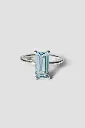 RING Lore Van Keer R31.38