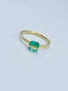 RING Januka