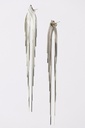 EARRINGS Mussels & Muscels O19.10