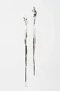 EARRINGS Mussels & Muscels O19.16