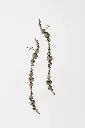 EARRINGS Mussels & Muscels O19.11 Jaspis 