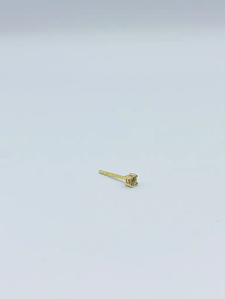 Earstud LASSO