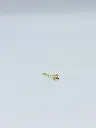 Earstud LASSO