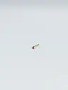 EARSTUD LASSO Ruby