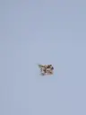Earring LASSO