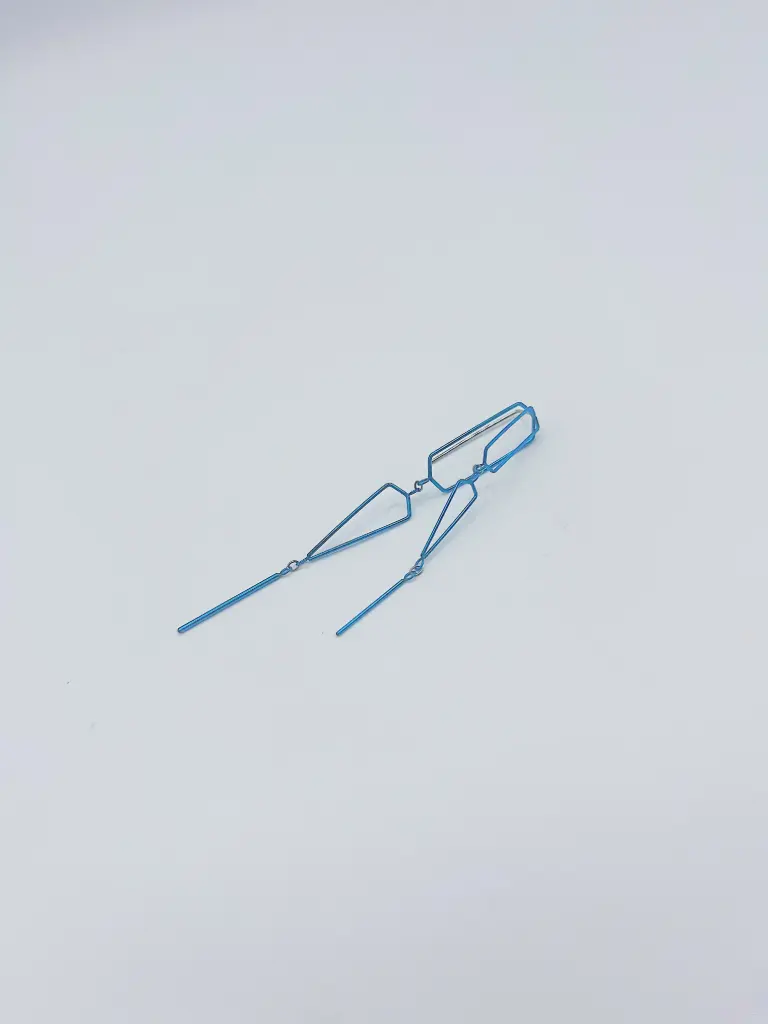 Earring