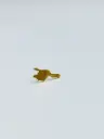 EARRING LASSO Sommen