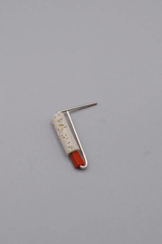 Earring LASSO
