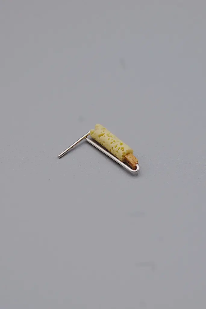 Earring LASSO