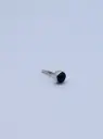 Earring LASSO