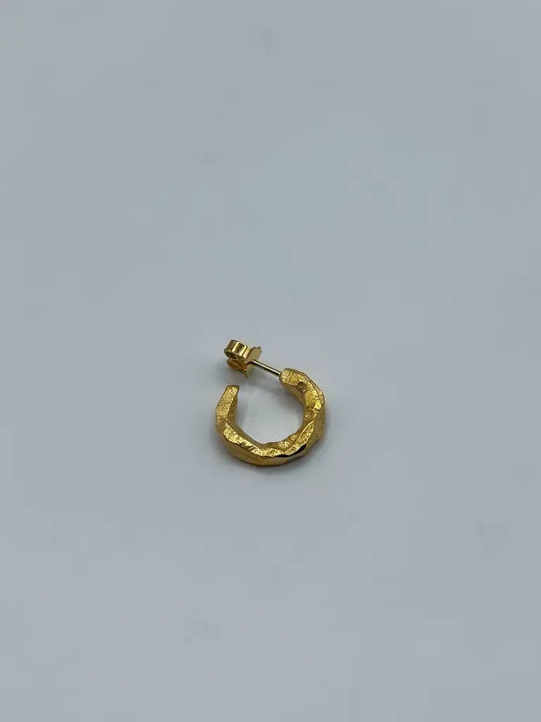 Oorbel LASSO 