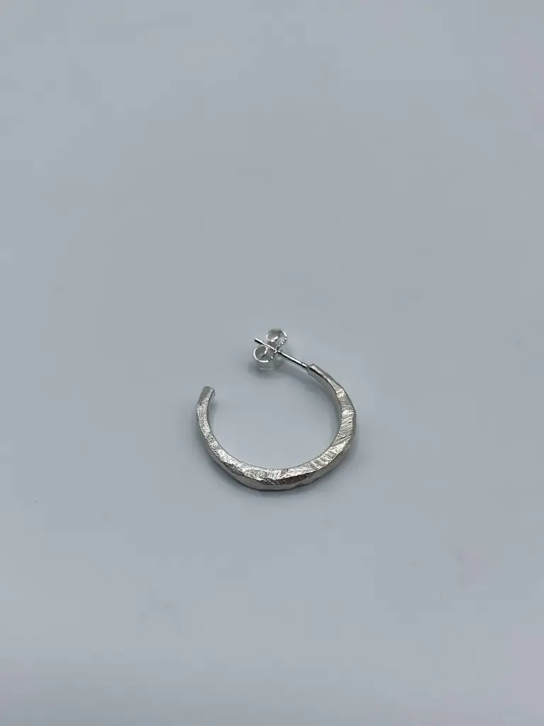 Earstud LASSO