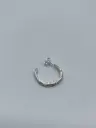 Earstud LASSO