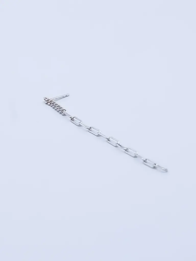 Earring LASSO