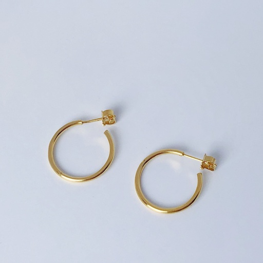 [O1.87-Yellow] Earrings LASSO