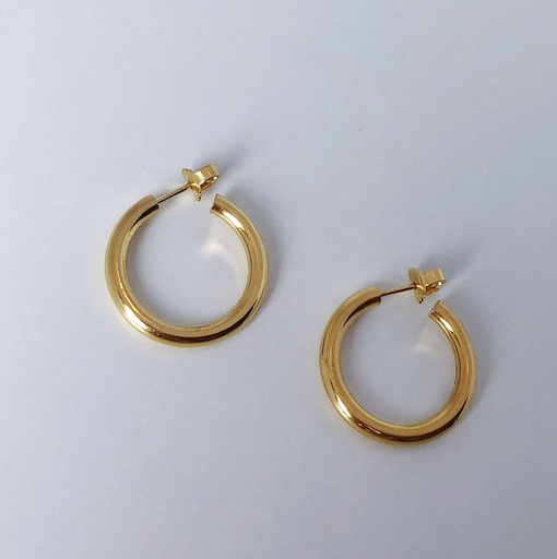 [O1.88-yellow] Earrings LASSO