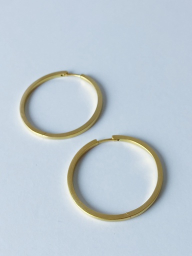 [O1.108-Yellow] Earrings LASSO