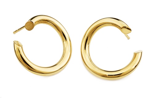 [O1.73-Yellow] Earrings LASSO