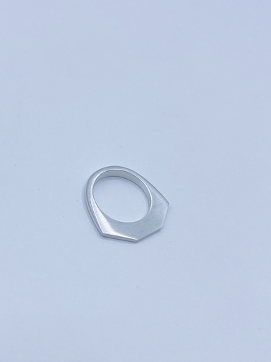 [R17.8] RING Ans Houben R17.8