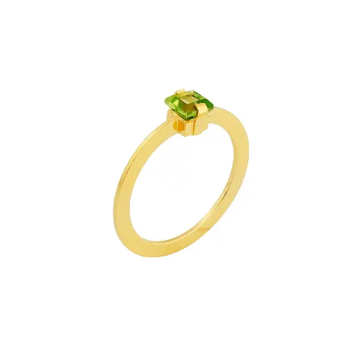 [R65.48] RING Studio Collect R65.48