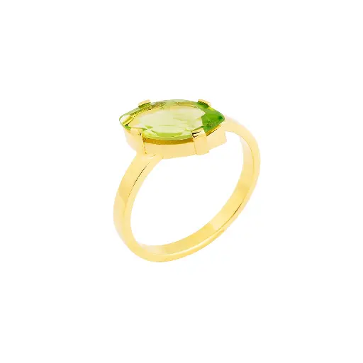 [R65.50] RING Studio Collect R65.50