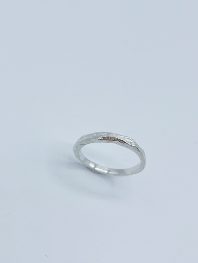 [R1.12] Ring LASSO
