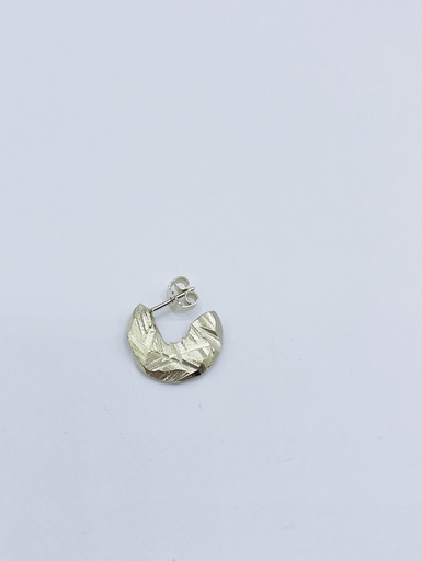 [O1.124] Earstud LASSO