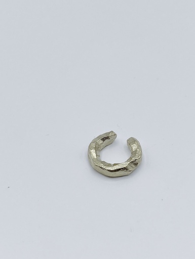 [O1.125] Earcuff LASSO