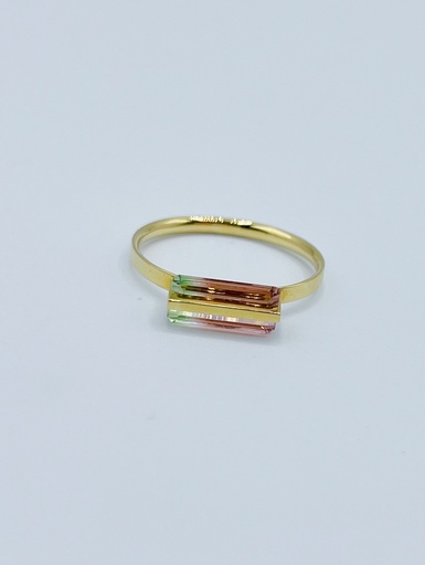 [R61.1] RING Januka