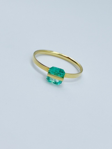 [R61.3] RING Januka