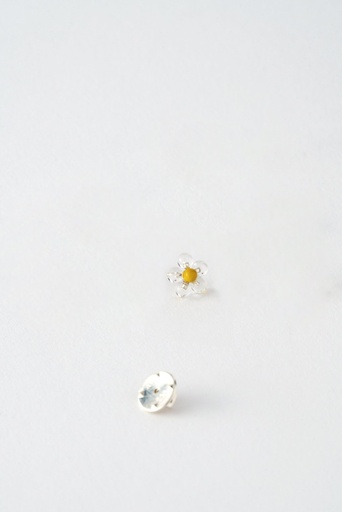 [P19.1 Yellow] PIN Mussels & Muscels P19.1 Yellow