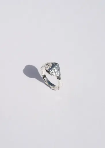 [R33.1] RING SR33.1